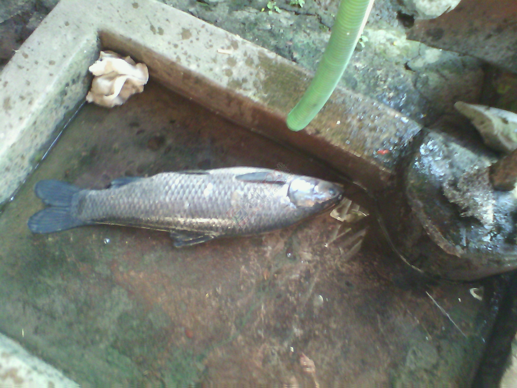 大。。。就是大782 / 作者:否定一切 / 帖子ID:106473