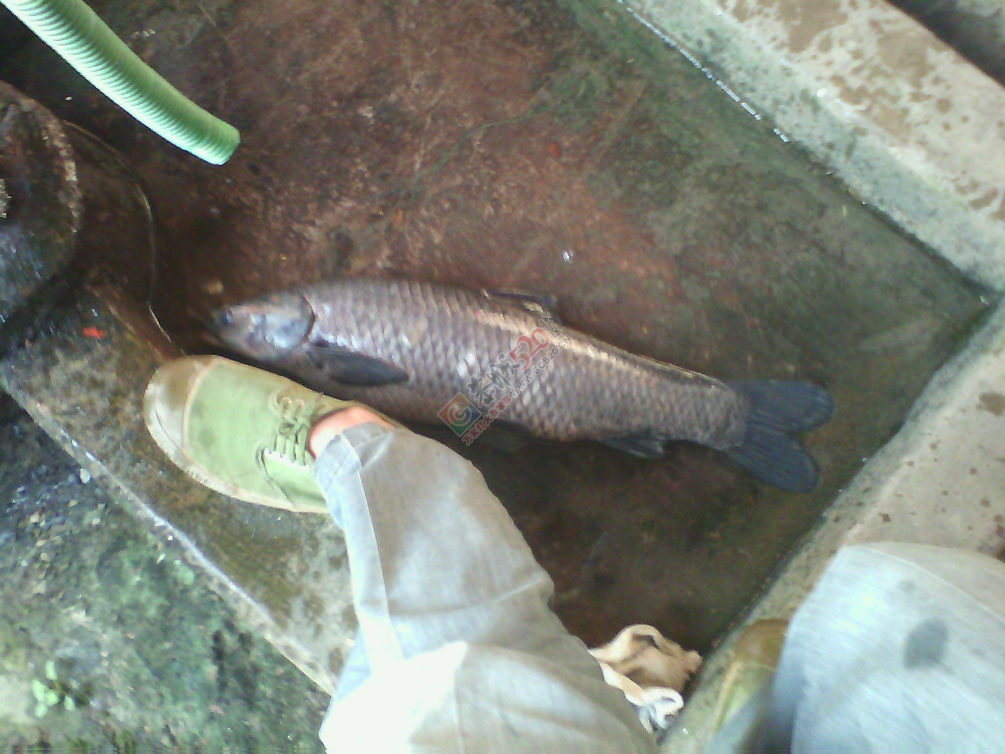 大。。。就是大857 / 作者:否定一切 / 帖子ID:106473