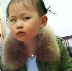 有“钳”就是任性！网友拿iPhone逗螃蟹被夹碎384 / 作者:平安大叔 / 帖子ID:106469