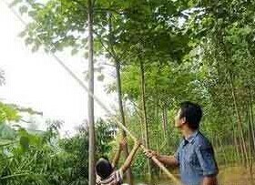 带你回到儿时555 / 作者:美丽的梦花 / 帖子ID:106521