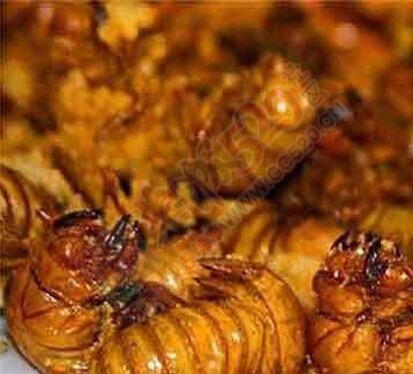 带你回到儿时467 / 作者:美丽的梦花 / 帖子ID:106521