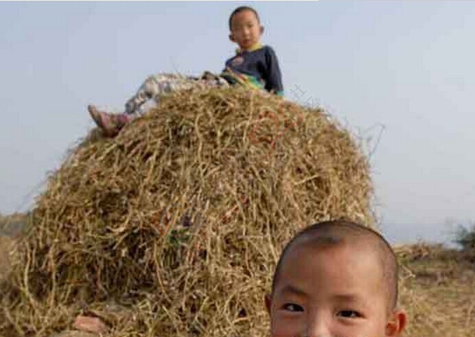 带你回到儿时470 / 作者:美丽的梦花 / 帖子ID:106521