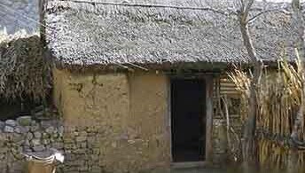 带你回到儿时298 / 作者:美丽的梦花 / 帖子ID:106521