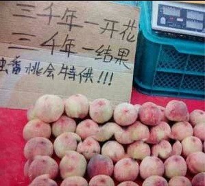 街头广告 民间高手 ，果然高手在民间！508 / 作者:thkfh / 帖子ID:106524