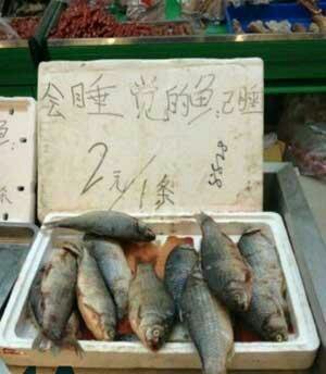 街头广告 民间高手 ，果然高手在民间！519 / 作者:thkfh / 帖子ID:106524