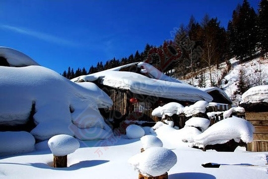 我们去看看北方的雪景吧…！365 / 作者:建筑19551213 / 帖子ID:106555