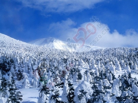 我们去看看北方的雪景吧…！778 / 作者:建筑19551213 / 帖子ID:106555