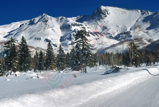 我们去看看北方的雪景吧…！367 / 作者:建筑19551213 / 帖子ID:106555