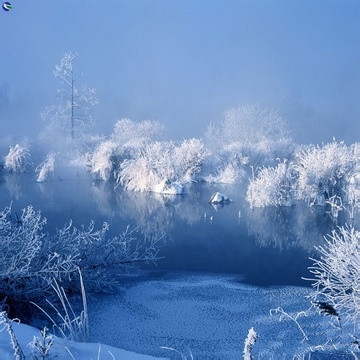 我们去看看北方的雪景吧…！635 / 作者:建筑19551213 / 帖子ID:106555