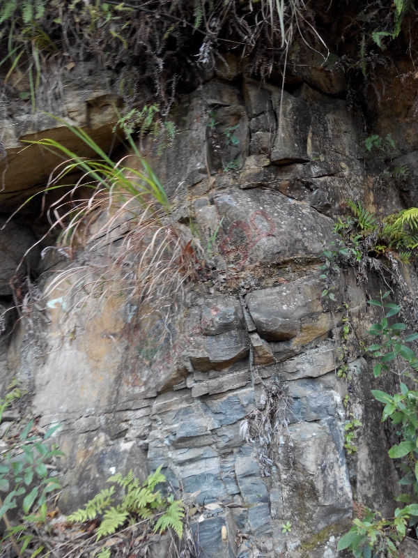 瑶山行508 / 作者:恭城无聊人 / 帖子ID:106743