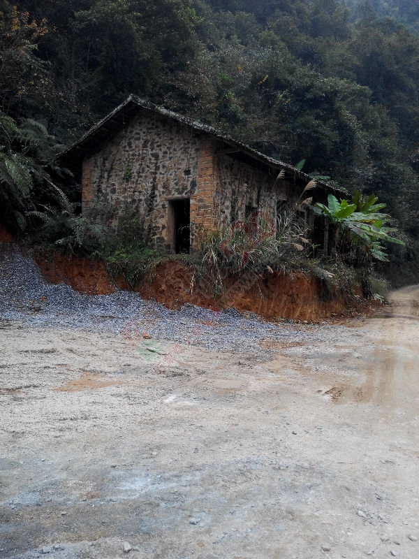 瑶山行727 / 作者:恭城无聊人 / 帖子ID:106743