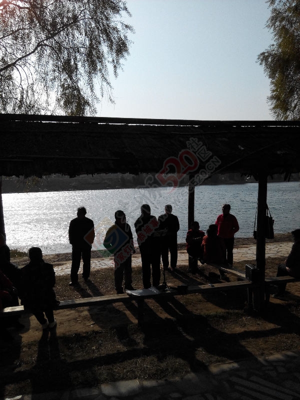 老人的笑与歌声124 / 作者:恭城无聊人 / 帖子ID:106744