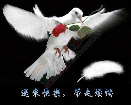 送来快乐，带走烦恼…！644 / 作者:建筑19551213 / 帖子ID:106754