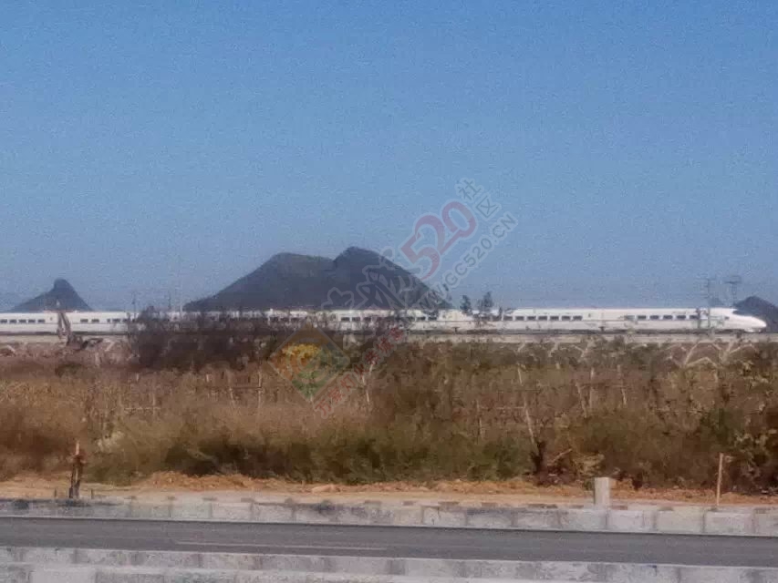 一大早的终于给我抓到你啦356 / 作者:珍惜 / 帖子ID:106788