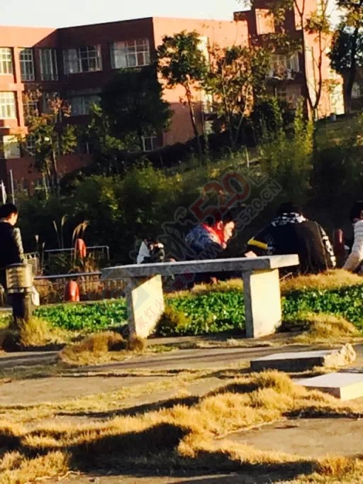 大白天的，汗颜752 / 作者:桂花糕 / 帖子ID:106799