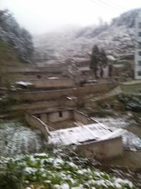 果然今天下了一点不大的雪……！442 / 作者:建筑19551213 / 帖子ID:106827