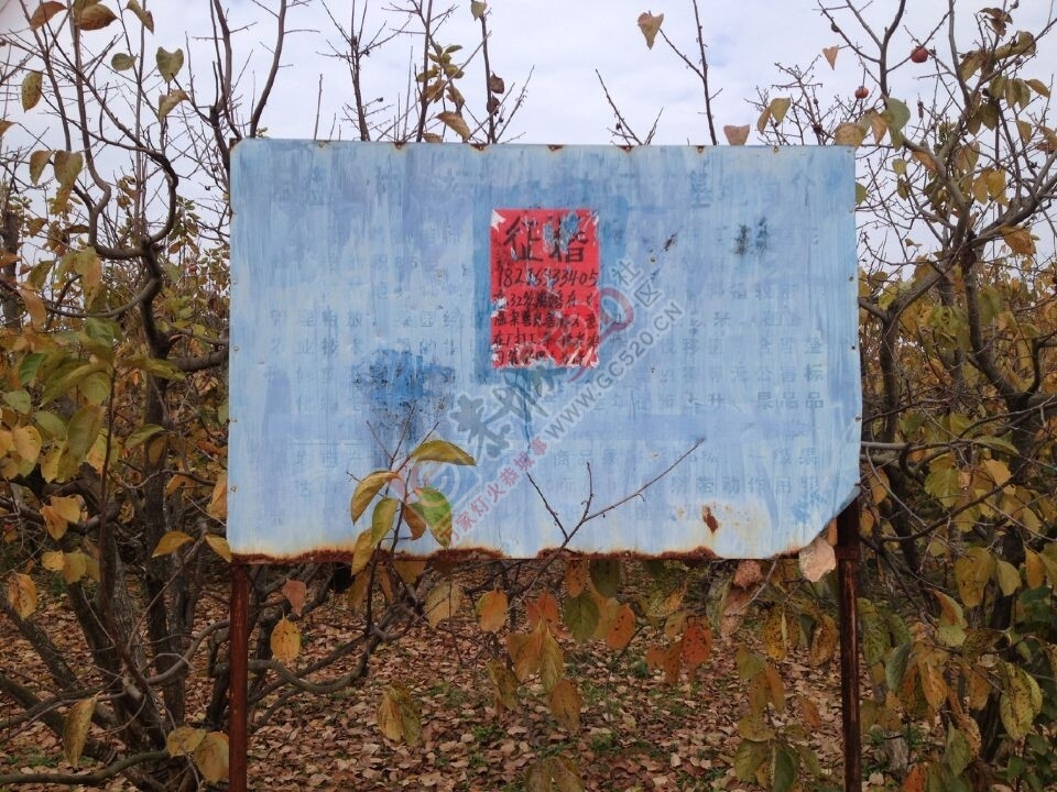 小绿啊，特地为你拍的，上吧631 / 作者:恭城520小奈姐姐 / 帖子ID:106830