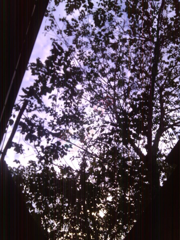 今天天气很好，这种大冷天希望每天都能这样802 / 作者:猫小萌 / 帖子ID:106846