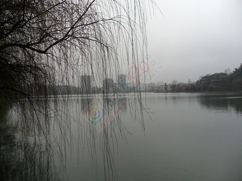 冬天已到，春天还会远吗？…925 / 作者:建筑19551213 / 帖子ID:106860