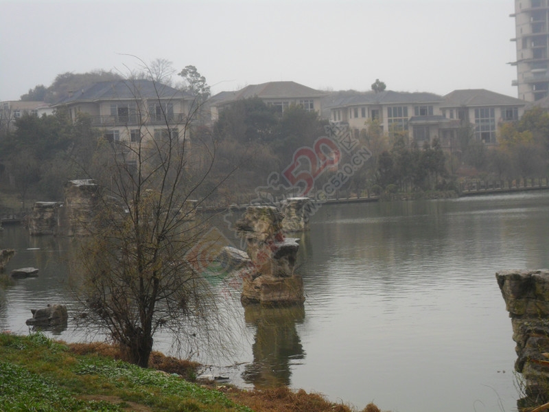 冬天已到，春天还会远吗？…589 / 作者:建筑19551213 / 帖子ID:106860