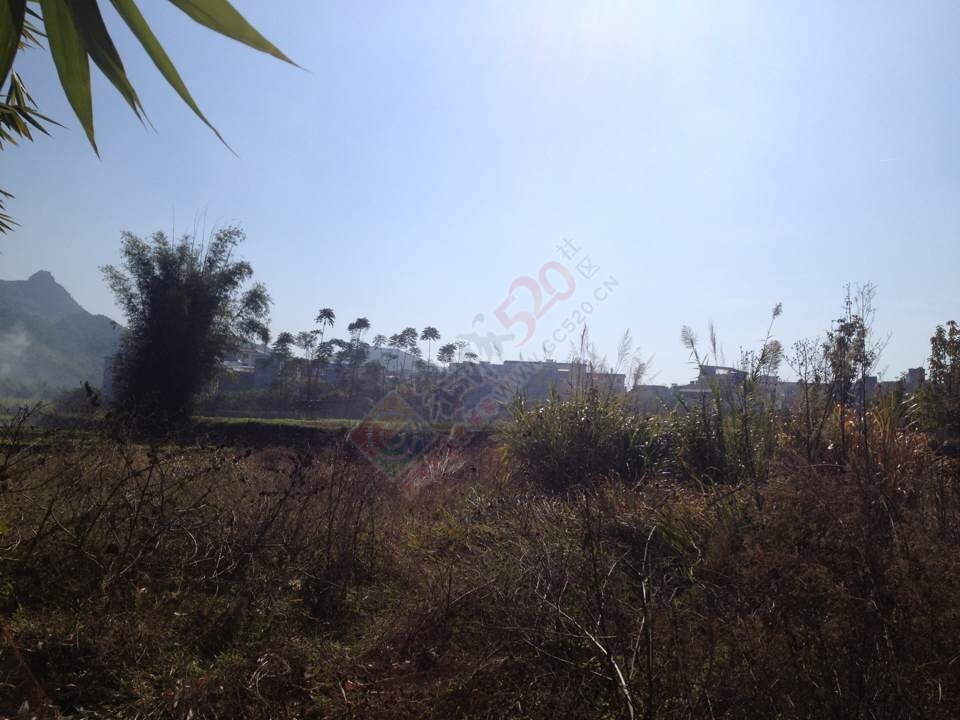 克下吧洲乱转悠了一圈584 / 作者:小红花 / 帖子ID:106875