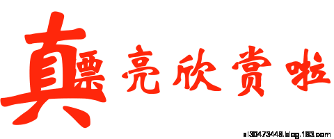 还是柿叶899 / 作者:建筑19551213 / 帖子ID:106886