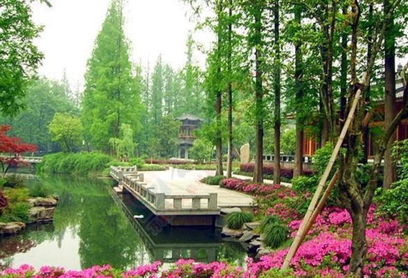 时光已远去，记忆还在那个姹紫嫣红的季节！…824 / 作者:建筑19551213 / 帖子ID:106905