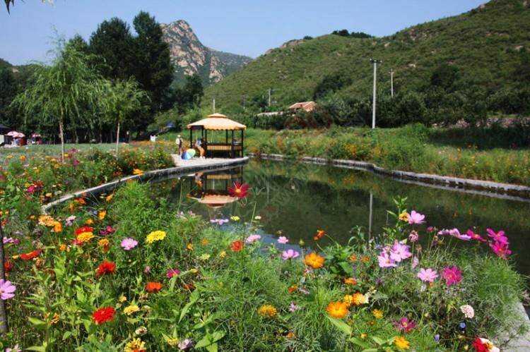 时光已远去，记忆还在那个姹紫嫣红的季节！…346 / 作者:建筑19551213 / 帖子ID:106905