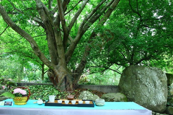 冬天啊，是如此的安祥，谈定，逍遥！…161 / 作者:建筑19551213 / 帖子ID:106935