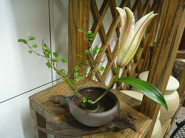 冬天啊，是如此的安祥，谈定，逍遥！…911 / 作者:建筑19551213 / 帖子ID:106935