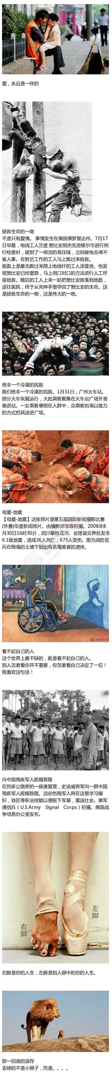 那些带给我们无数感动的照片52 / 作者:thkfh / 帖子ID:106967