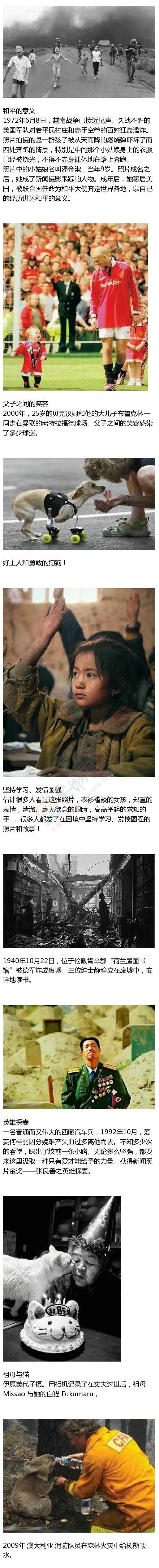 那些带给我们无数感动的照片405 / 作者:thkfh / 帖子ID:106967