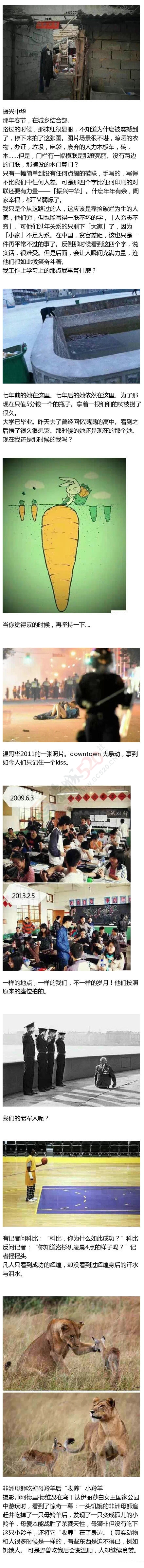 那些带给我们无数感动的照片576 / 作者:thkfh / 帖子ID:106967