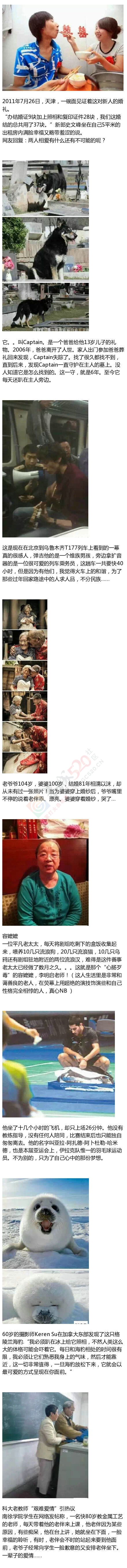 那些带给我们无数感动的照片339 / 作者:thkfh / 帖子ID:106967