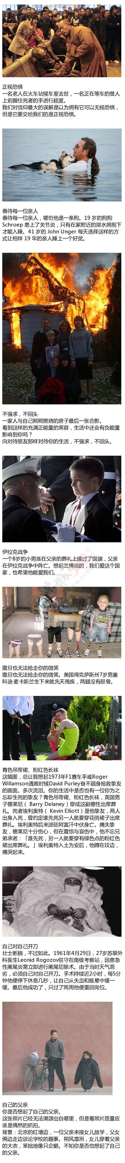 那些带给我们无数感动的照片123 / 作者:thkfh / 帖子ID:106967