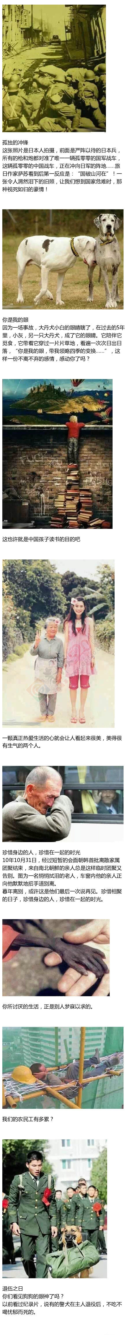 那些带给我们无数感动的照片397 / 作者:thkfh / 帖子ID:106967