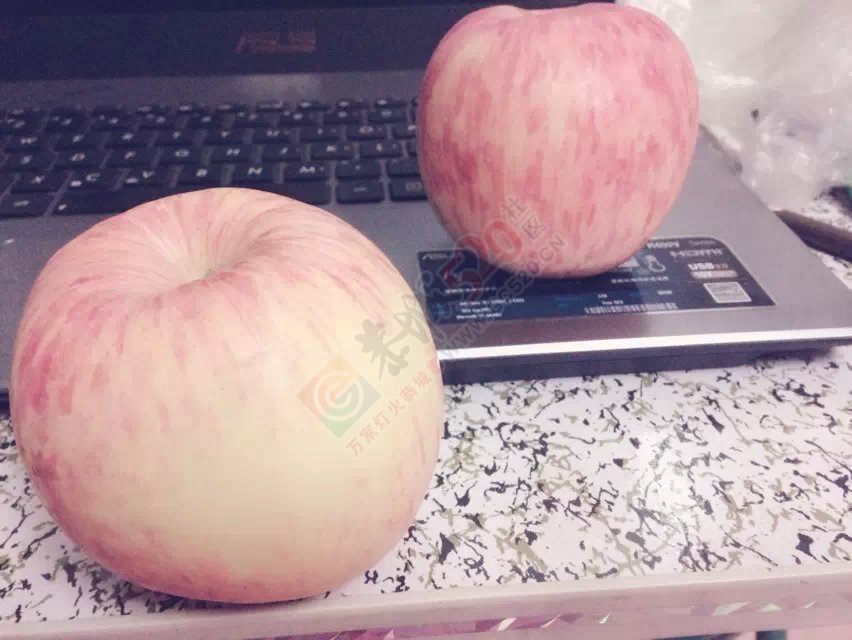 大家圣诞节快乐！566 / 作者:桂花糕 / 帖子ID:107012