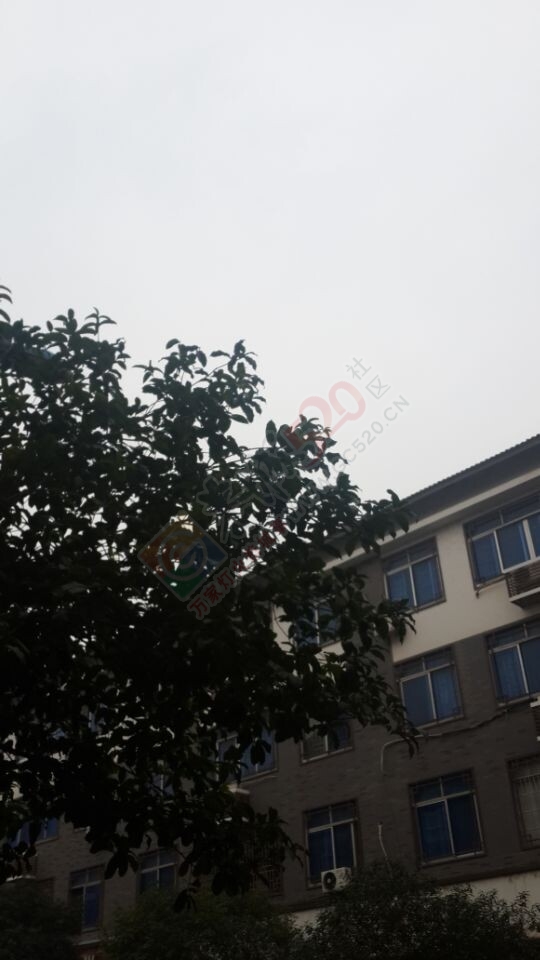 这几天都是这种阴阴的天气，什么时候才出太阳742 / 作者:桂花糕 / 帖子ID:107058