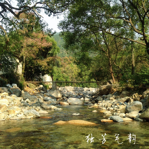 十二月手机随拍390 / 作者:独芳气韵 / 帖子ID:107095