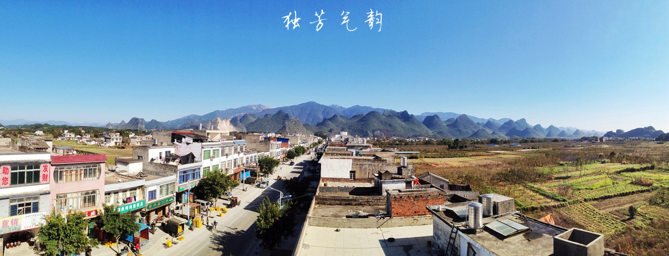 十二月手机随拍54 / 作者:独芳气韵 / 帖子ID:107095