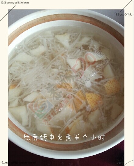 冬季必备止咳祛痰神器——白萝卜雪梨水242 / 作者:猫小萌 / 帖子ID:107167