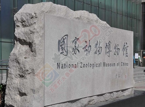 旅游分享:带孩子参观国家动物博物馆 住马驹桥四合院酒店307 / 作者:qwfy5566 / 帖子ID:107173