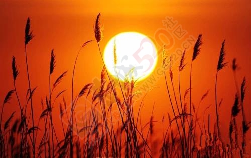 一场美丽的摄影旅行860 / 作者:mlxing / 帖子ID:107217