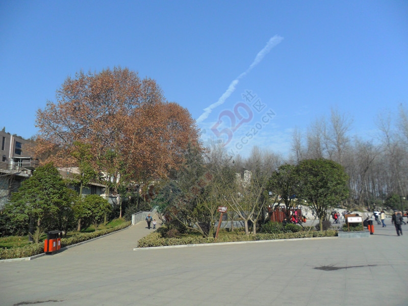 2014最后这两天，天气真好！…85 / 作者:建筑19551213 / 帖子ID:107222