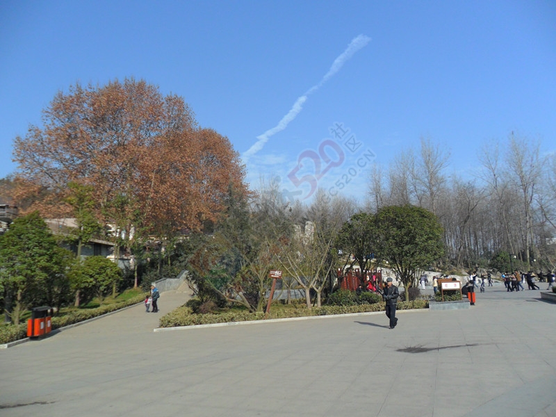 2014最后这两天，天气真好！…577 / 作者:建筑19551213 / 帖子ID:107222