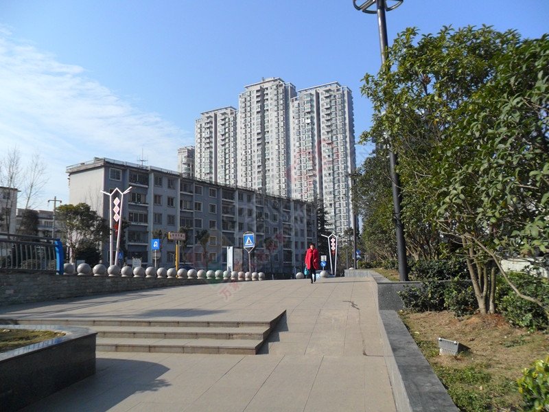 2014最后这两天，天气真好！…620 / 作者:建筑19551213 / 帖子ID:107222