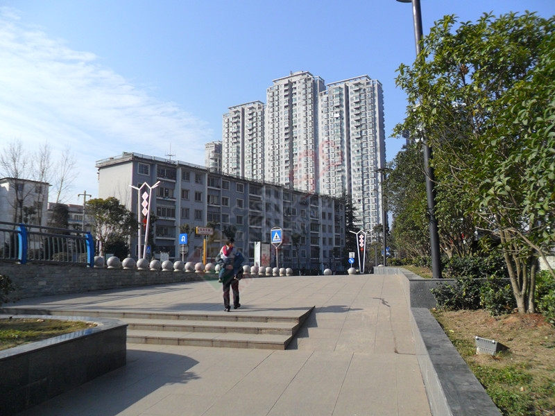 2014最后这两天，天气真好！…247 / 作者:建筑19551213 / 帖子ID:107222
