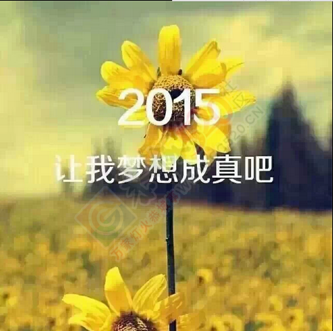 2015亲你们在想什么呢984 / 作者:梦尽从缘 / 帖子ID:107236