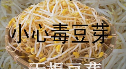 内蒙古销毁5吨毒豆芽 日销1500多公斤93 / 作者:小红花 / 帖子ID:107369