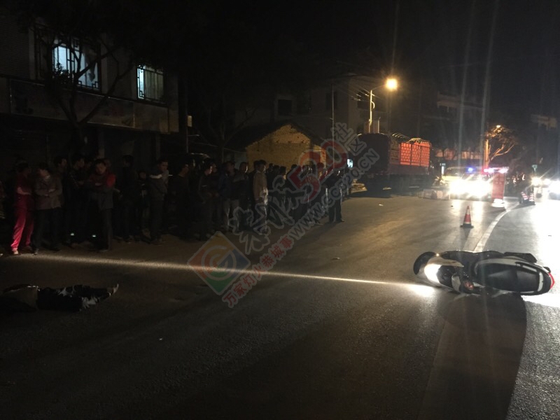 江贝村路段越野车车祸致死逃逸462 / 作者:穷人 / 帖子ID:107381